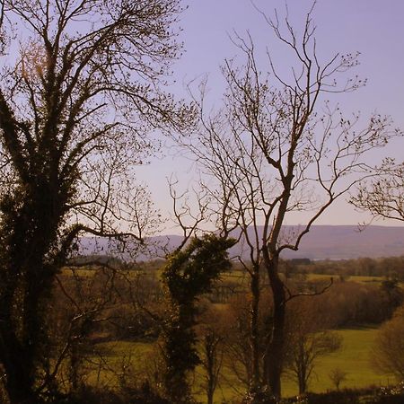 Woodview House Bed And Breakfast Ballinrobe Exterior foto