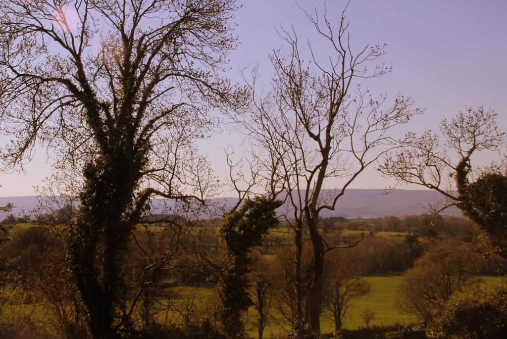 Woodview House Bed And Breakfast Ballinrobe Exterior foto