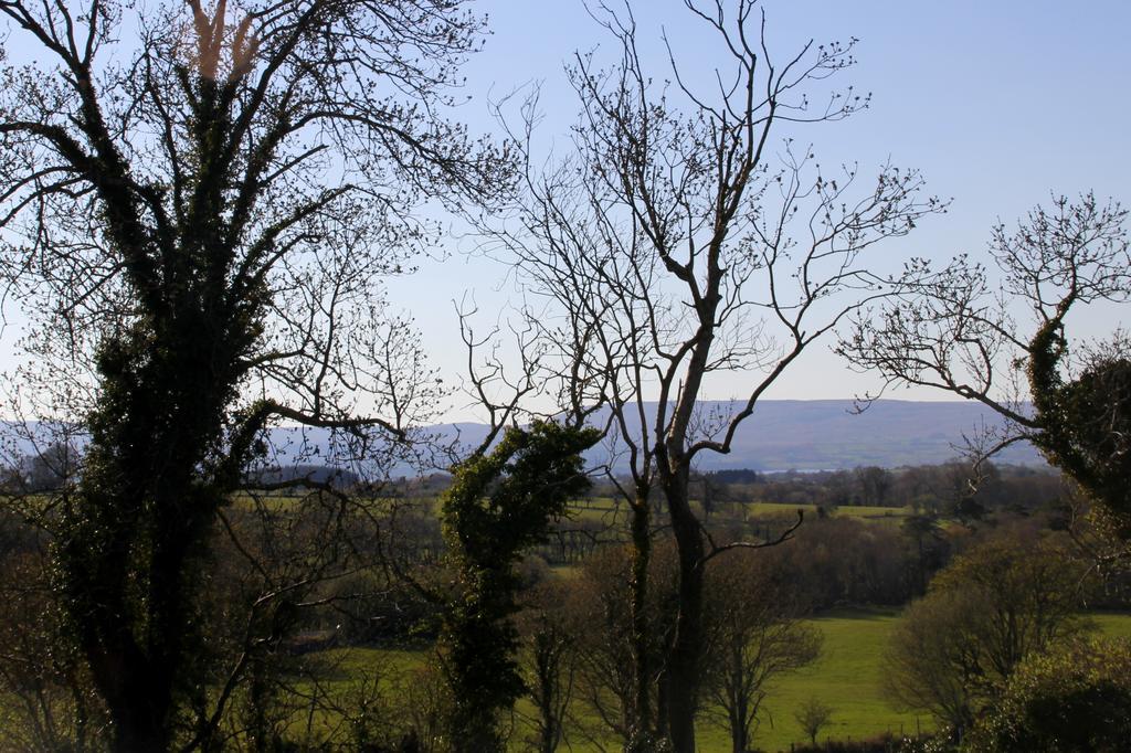 Woodview House Bed And Breakfast Ballinrobe Zimmer foto